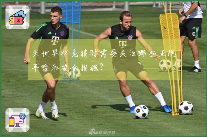 买世界杯竞猜时需要关注哪些正规平台和安全措施？